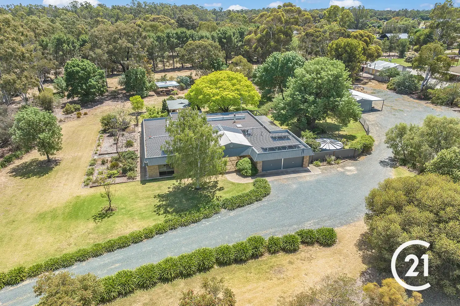 Main view of Homely house listing, 99 Bangerang Road, Echuca VIC 3564