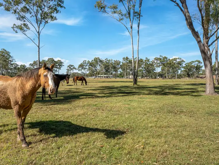 Fourth view of Homely rural property listing, 61 Gregory Street, Howard QLD 4659