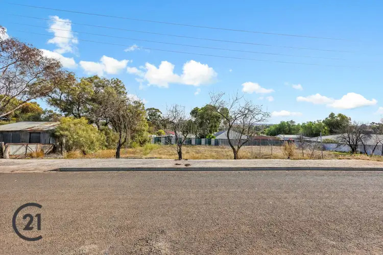14 Rowett Street, Kapunda SA 5373