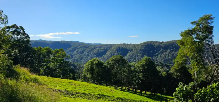 Second view of Homely rural property listing, 1005 Tuntable Creek Road, Tuntable Creek NSW 2480