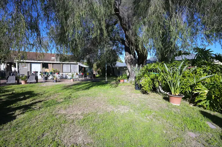 Seventh view of Homely house listing, 7 Lowther Terrace, Nollamara WA 6061