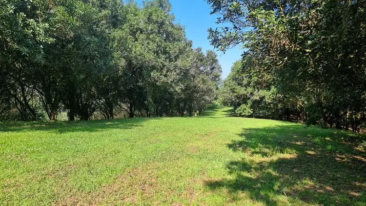 1248 Dunoon Road, Dunoon NSW 2480