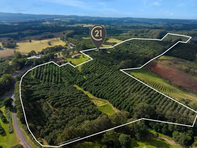 Second view of Homely rural property listing, 1248 Dunoon Road, Dunoon NSW 2480