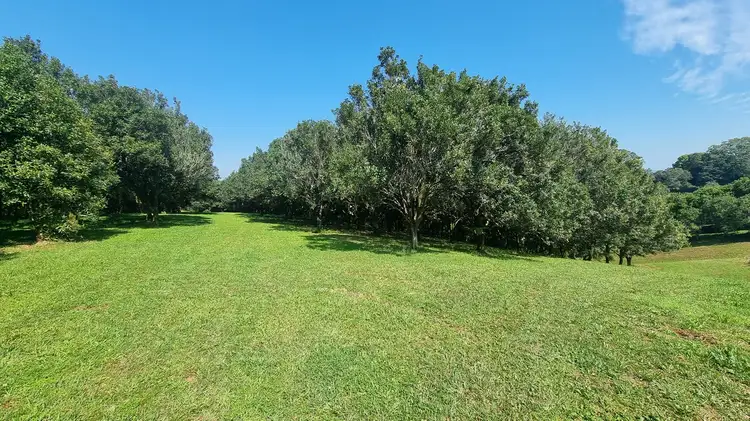 Second view of Homely rural property listing, 1248 Dunoon Road, Dunoon NSW 2480