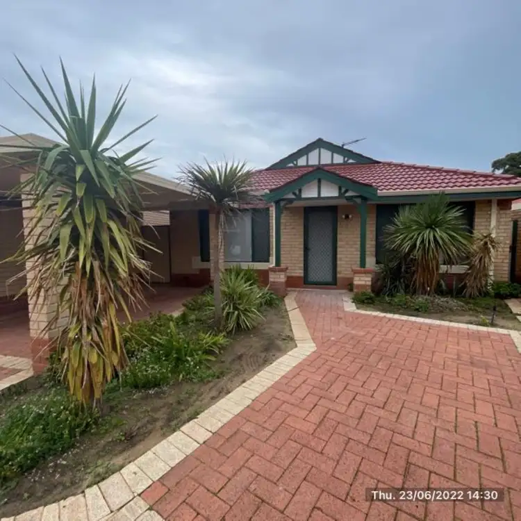 Main view of Homely villa listing, 11/56-60 Elanora Drive, Cooloongup WA 6168
