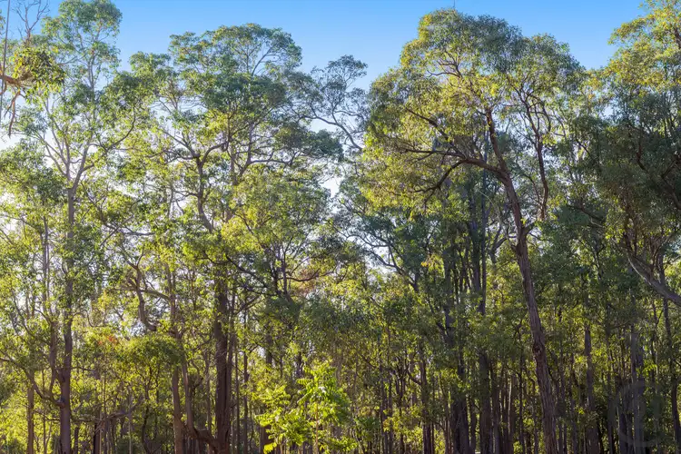Seventh view of Homely land listing, 614 Scarp Road, Keysbrook WA 6126