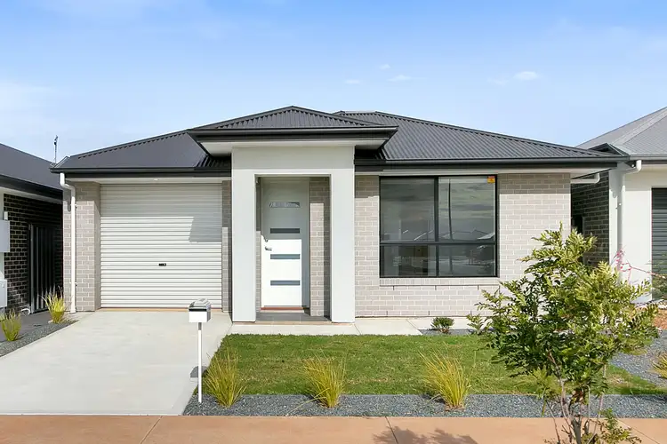 14 Steve Street