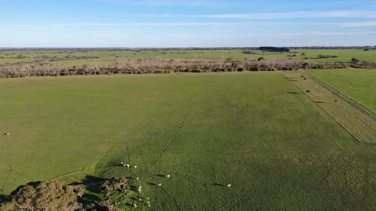 Third view of Homely land listing, Lot 14 Playford Highway, Cassini SA 5223