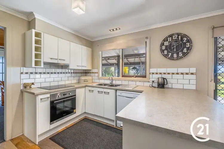 Fourth view of Homely other listing, 1060 Mount Terrick Road, Echuca VIC 3564
