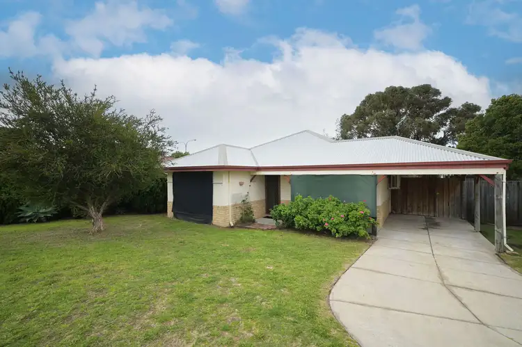 Main view of Homely house listing, 19 Dewar Mews, Clarkson WA 6030