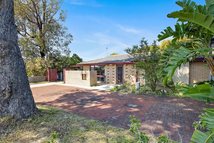 37 Seaflower Crescent, Craigie WA 6025
