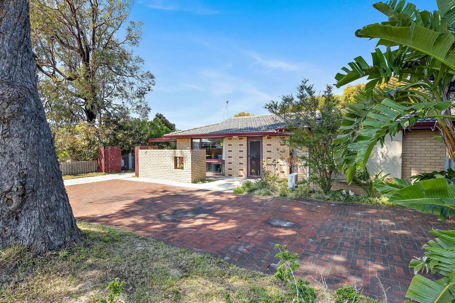 Main view of Homely house listing, 37 Seaflower Crescent, Craigie WA 6025