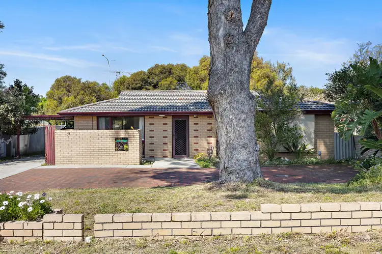 Sixth view of Homely house listing, 37 Seaflower Crescent, Craigie WA 6025