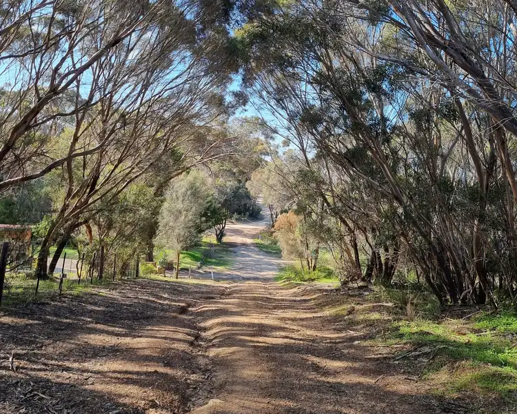 Fifth view of Homely land listing, 559 Thomas Road, American River SA 5221