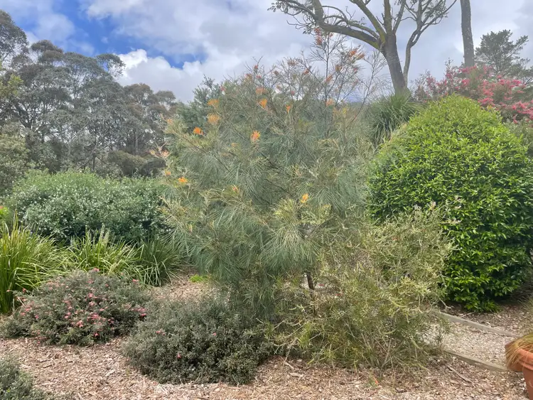 Fourth view of Homely unit listing, 46/391 Mount Scanzi Road, Kangaroo Valley NSW 2577