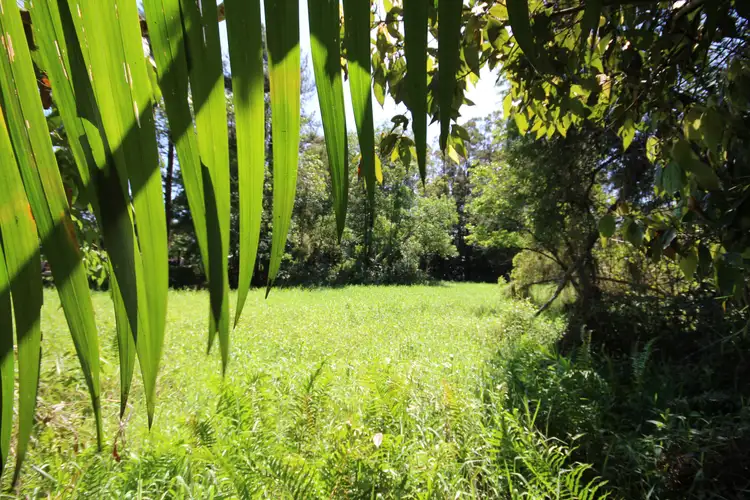 Second view of Homely rural property listing, Lot 1 Peachester Road, Beerwah QLD 4519