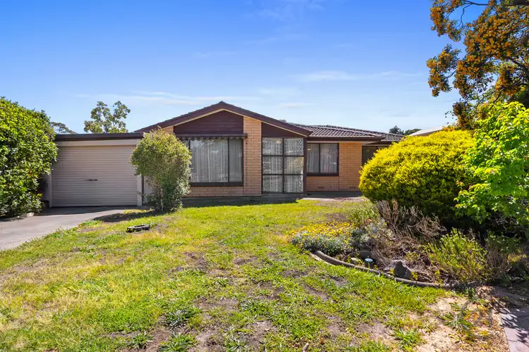14 Dillon Street, Redwood Park SA 5097