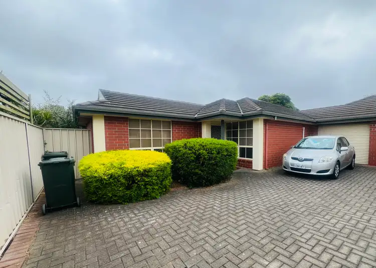 3 / 38 Illawarra Avenue, Hove SA 5048