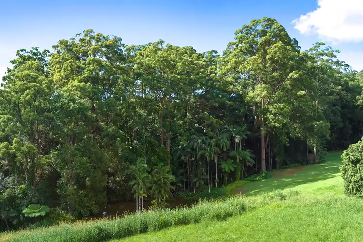 Fifth view of Homely land listing, 24 Erbacher Road, Nambour QLD 4560