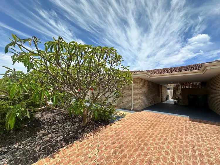 Main view of Homely unit listing, 6/3 Carlisle Street, Shoalwater WA 6169