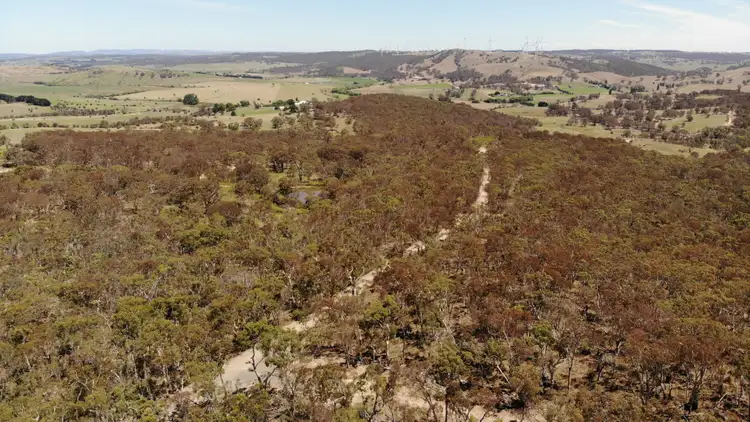 Seventh view of Homely rural property listing, 1950 Pomeroy Road, Bannister NSW 2580