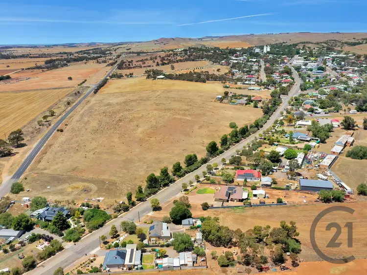 Seventh view of Homely rural property listing, Lot 823 Bruce Street, Eudunda SA 5374