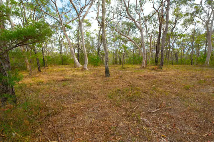 Third view of Homely rural property listing, 17 Daly Road, Faulconbridge NSW 2776