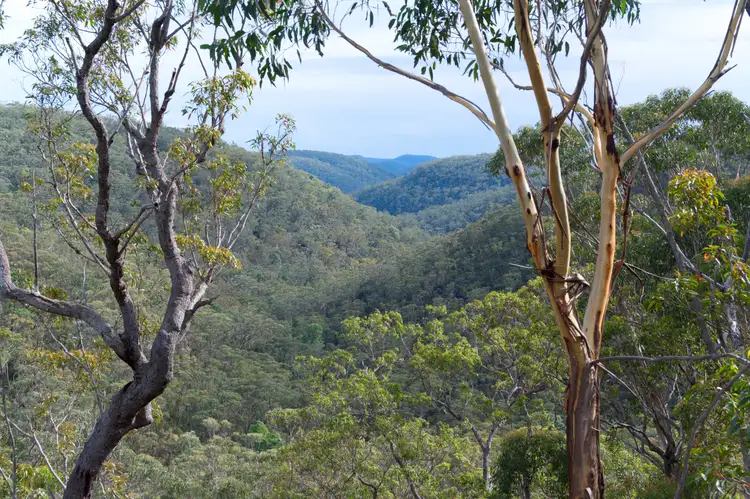Fifth view of Homely rural property listing, 17 Daly Road, Faulconbridge NSW 2776
