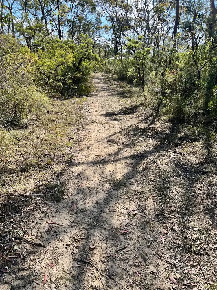 Seventh view of Homely rural property listing, 17 Daly Road, Faulconbridge NSW 2776
