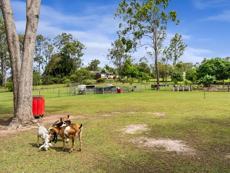 Third view of Homely rural property listing, 9 Yangoora Avenue, Tinana QLD 4650