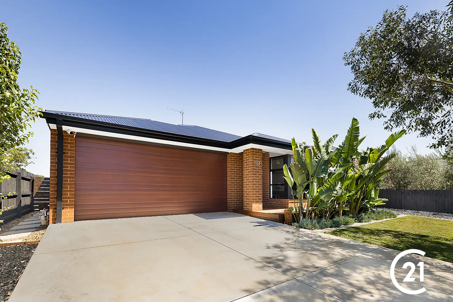 Main view of Homely house listing, 19 Durif Drive, Moama NSW 2731
