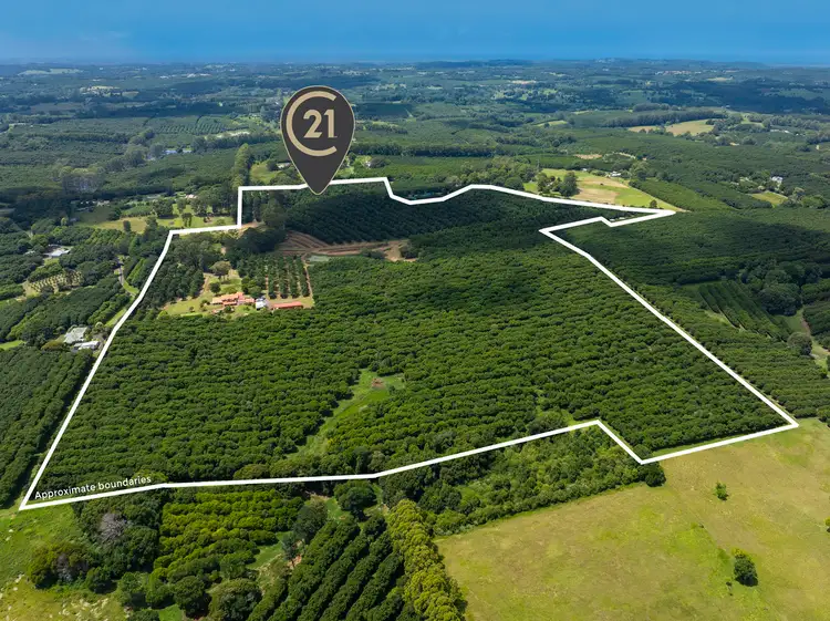 Third view of Homely rural property listing, 269 Alphadale Road, Lindendale NSW 2480