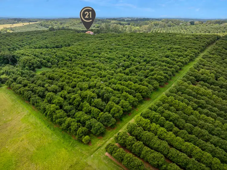 Fourth view of Homely rural property listing, 269 Alphadale Road, Lindendale NSW 2480