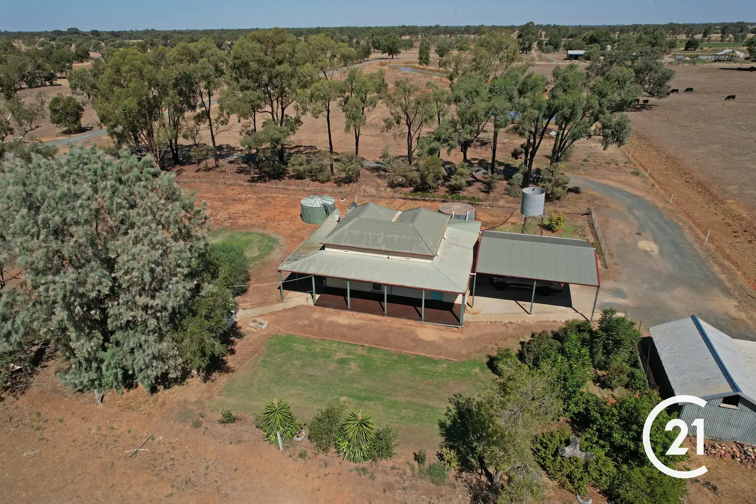 Main view of Homely house listing, 843 Echuca-Mitiamo Road, Echuca VIC 3564