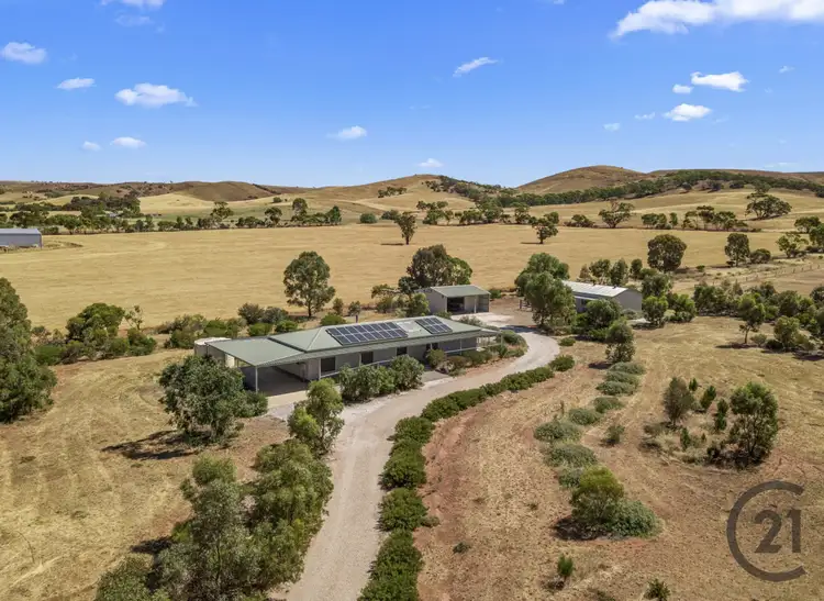 81 Stock Route Road, Point Pass SA 5374