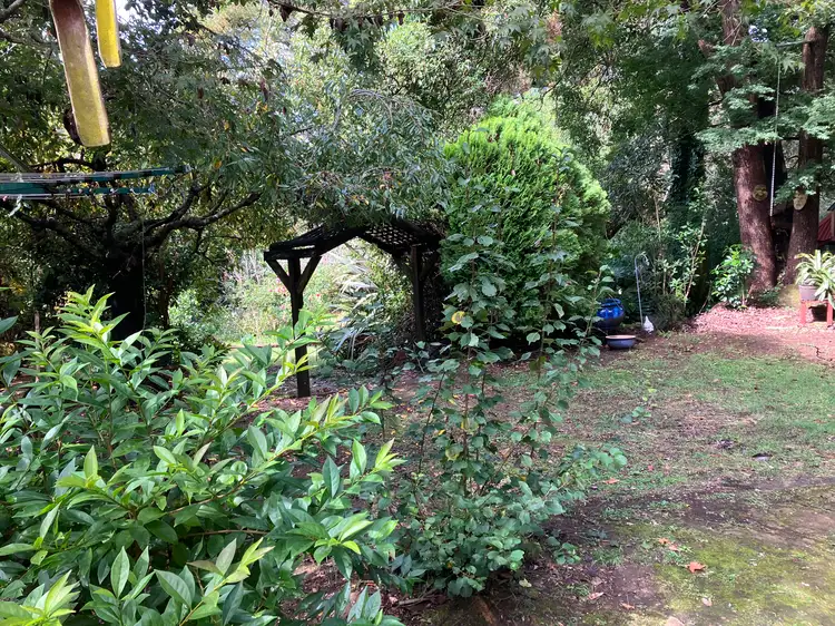 65 Oaklands Road, Hazelbrook NSW 2779