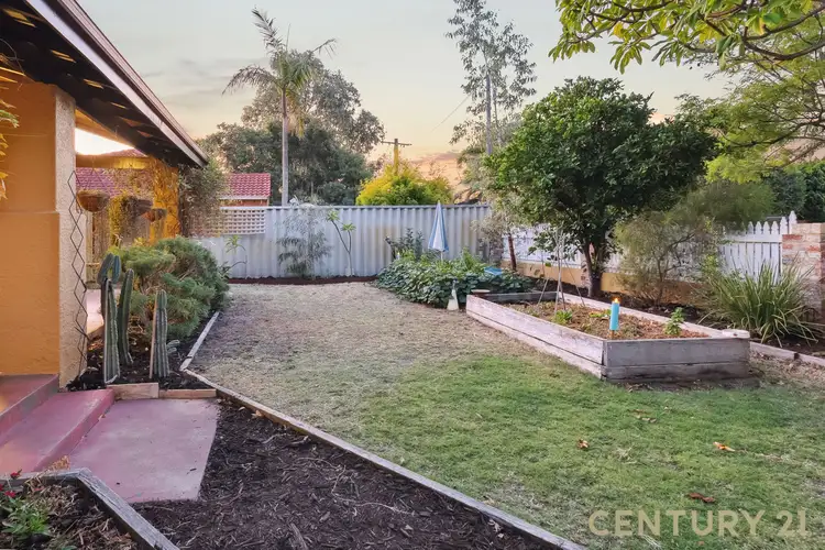 Third view of Homely house listing, 11 Raleigh Street, Carlisle WA 6101