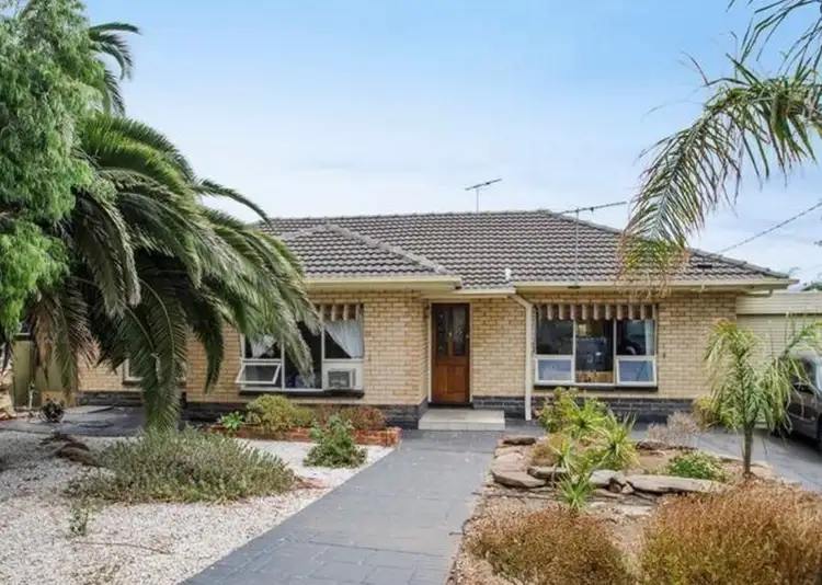 29 Roy Terrace