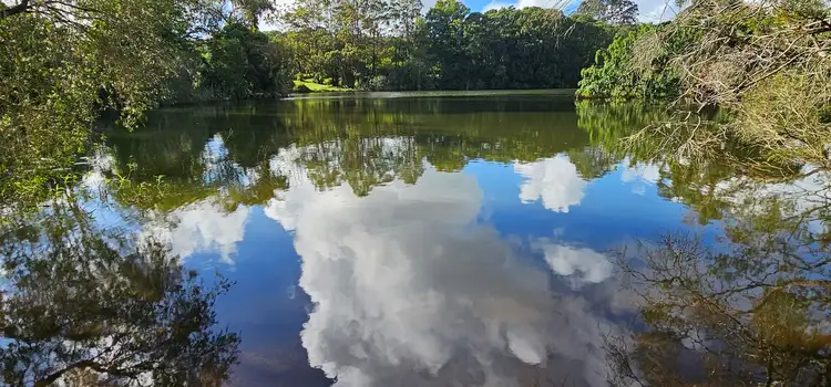 81 Shaws Lane, Tuckombil NSW 2477