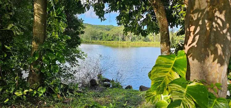 Second view of Homely rural property listing, 81 Shaws Lane, Tuckombil NSW 2477