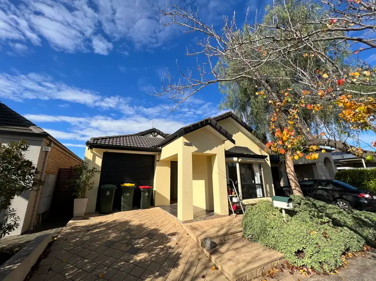 8 Plover Street, Mawson Lakes SA 5095