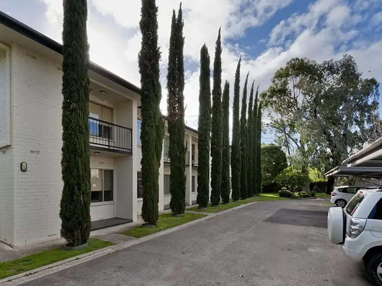 Second view of Homely unit listing, 7/3 Macklin Street, Parkside SA 5063