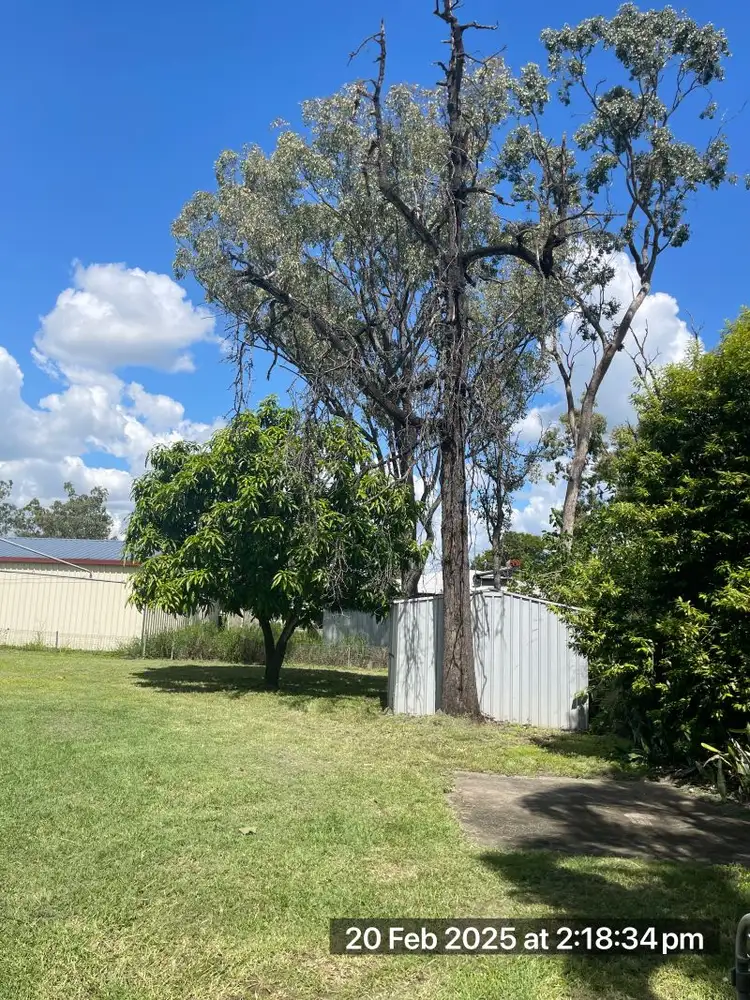 Second view of Homely house listing, 41 Hannah Crescent, Dysart QLD 4745