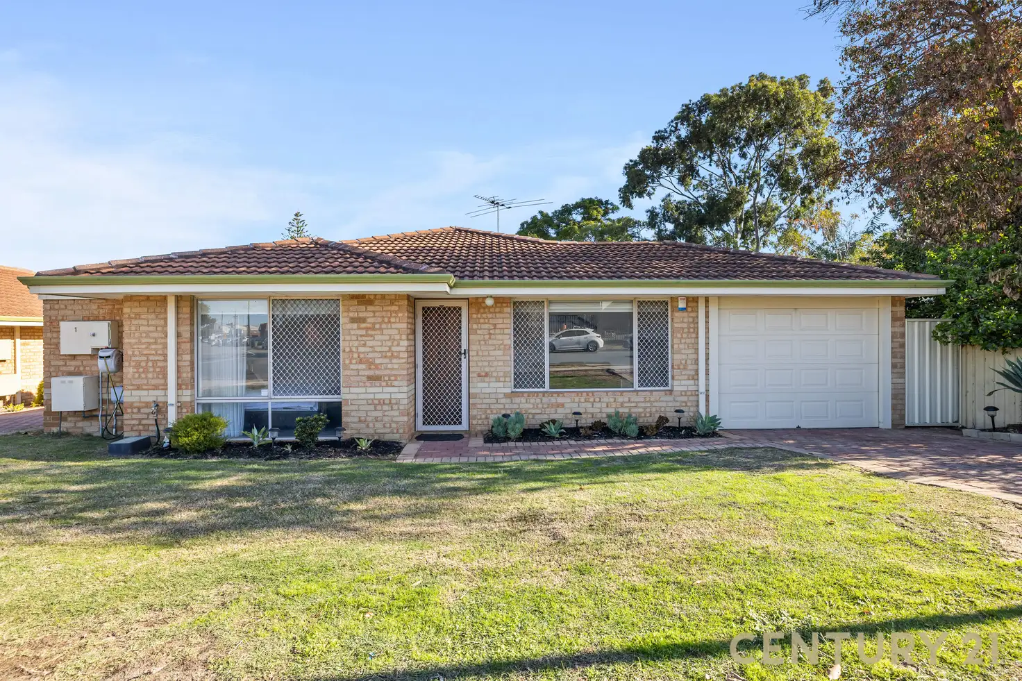 Main view of Homely house listing, 1/11 Ellam Street, St James WA 6102