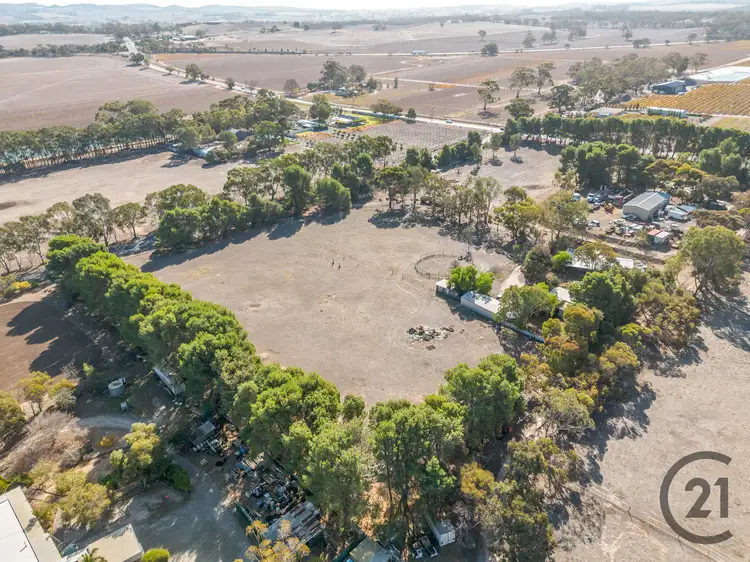 Third view of Homely house listing, 19 Stonewell Road, Nuriootpa SA 5355