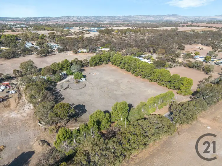 Sixth view of Homely house listing, 19 Stonewell Road, Nuriootpa SA 5355
