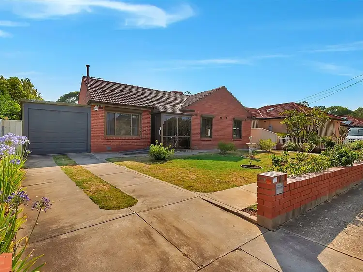 Main view of Homely house listing, 11 Laurel Avenue, Campbelltown SA 5074