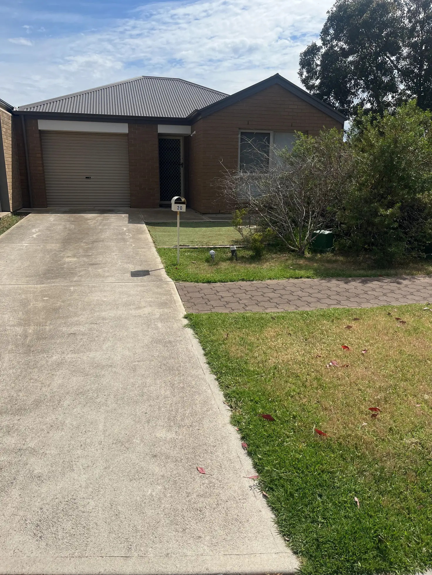 Main view of Homely house listing, 20 Citrus Street, Direk SA 5110