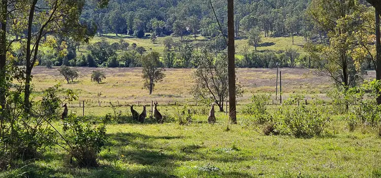 981 Old Dyraaba Road, Lower Dyraaba NSW 2470