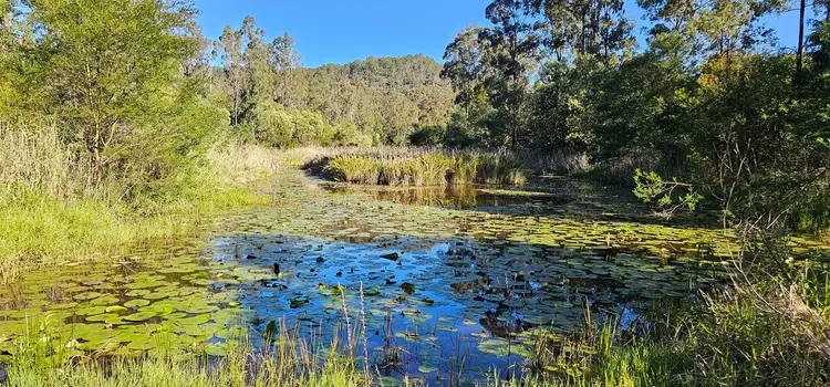 Fourth view of Homely rural property listing, 2400 Busbys Flat Road, Busbys Flat NSW 2469